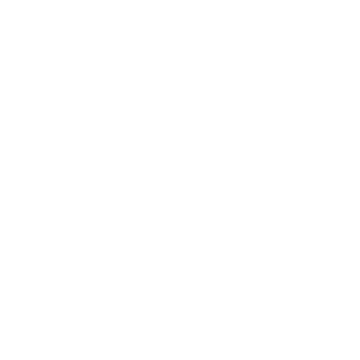 Photographers & Videographers